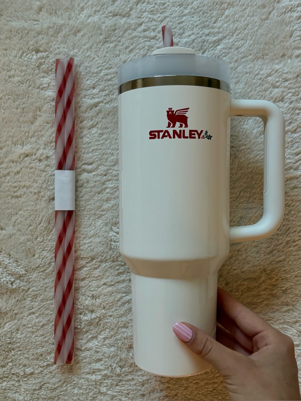 stanley Christmas